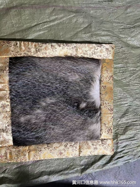 Ƥ棬